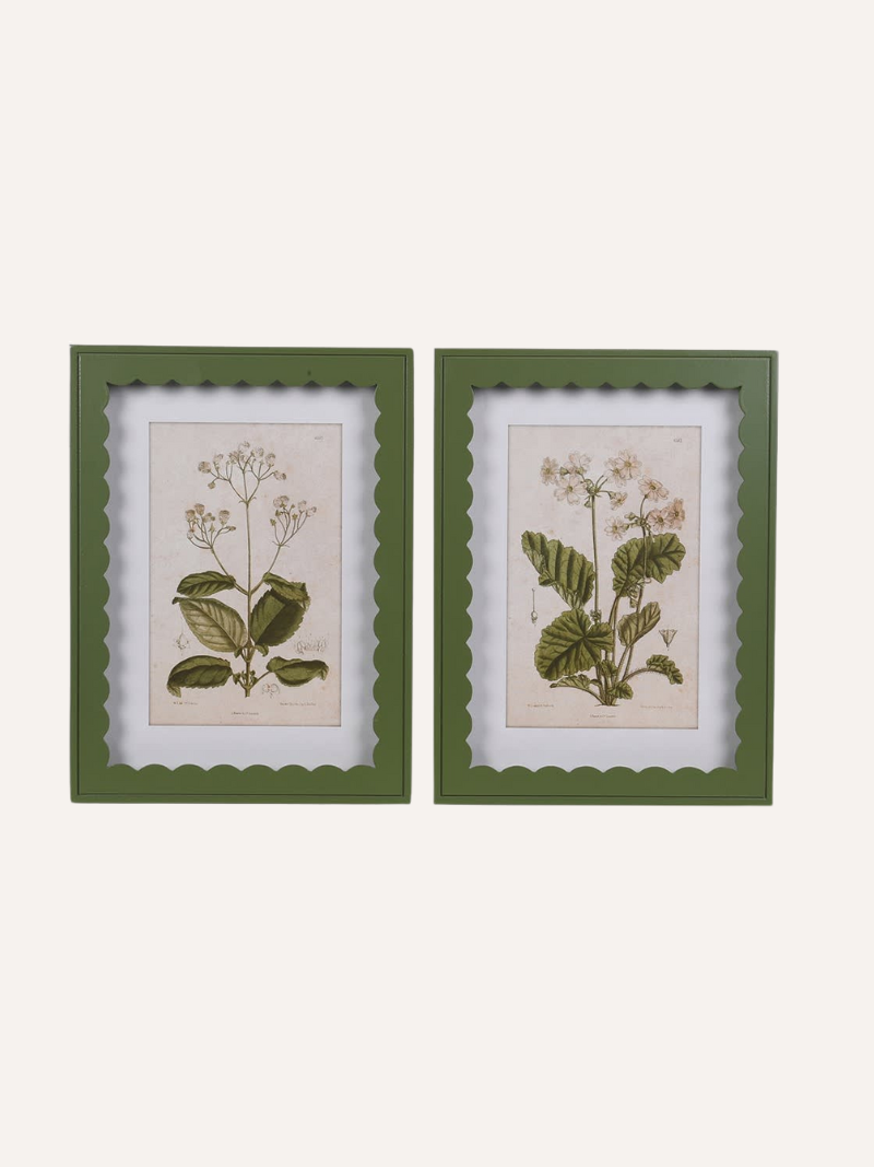 Two framed country botanical prints with green frames on a white background