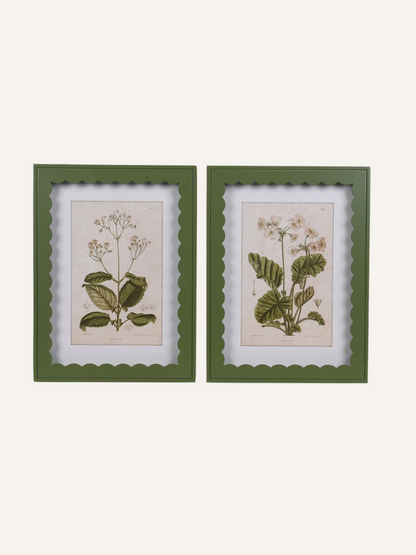 Two framed country botanical prints with green frames on a white background