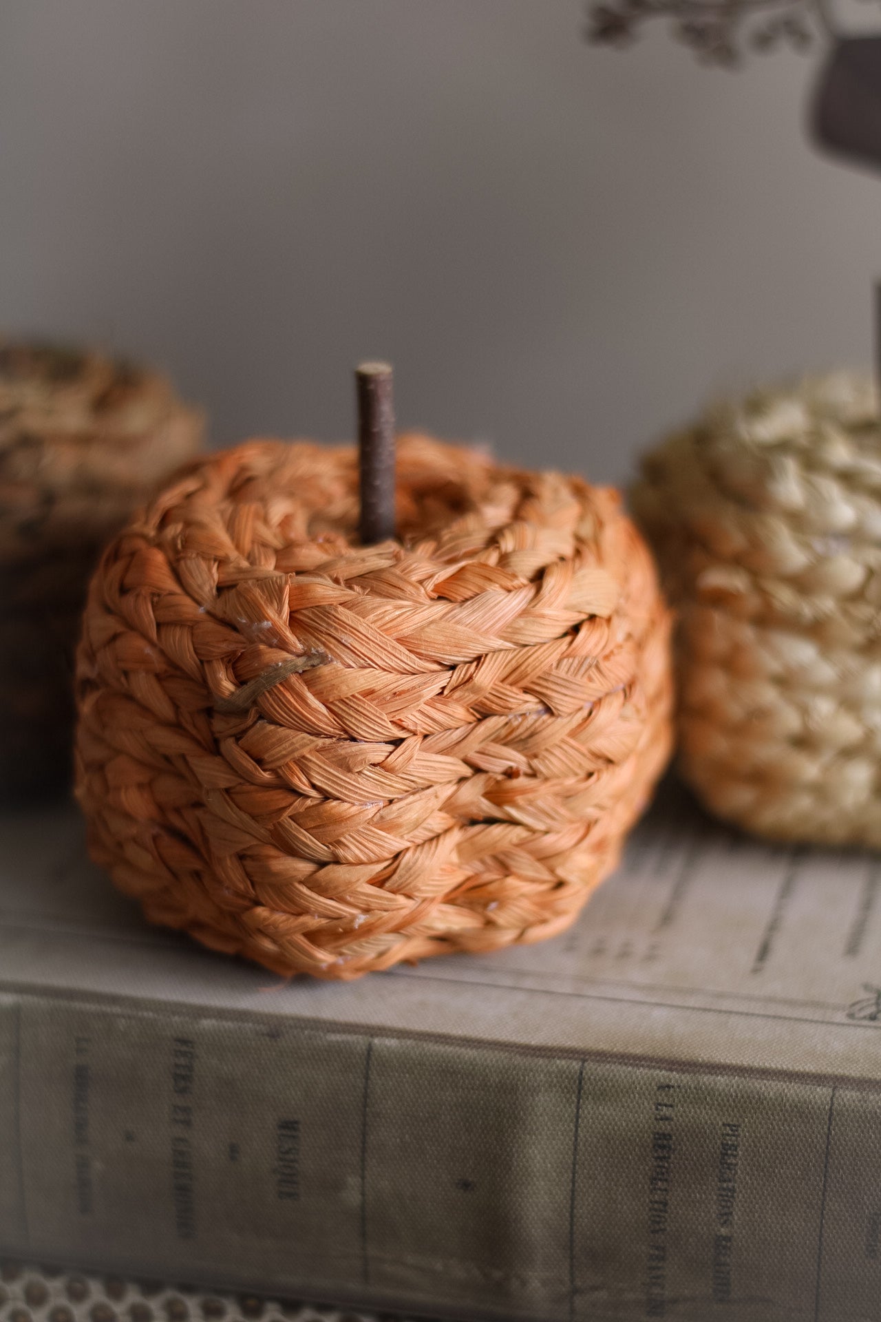 Woven decorative pumpkins object on a stack of books with a blurred background