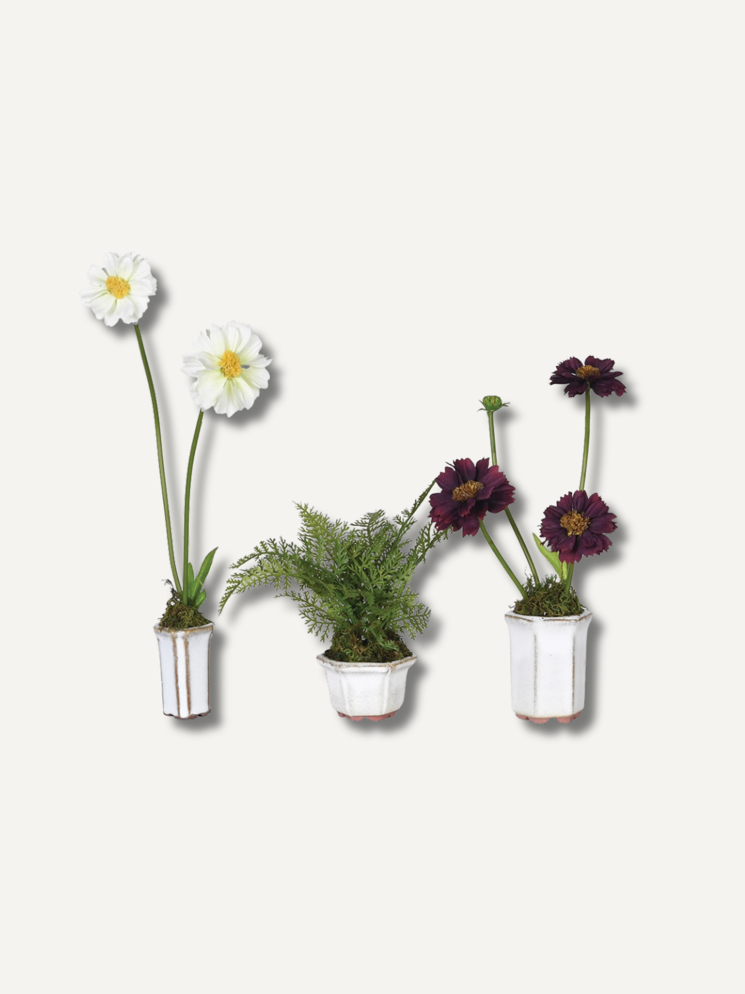 Set of Three Faux Cosmos and Fern Potted Plants
