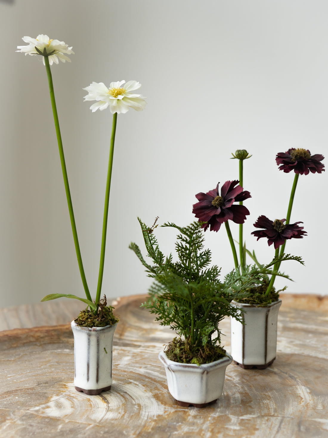 Set of Three Faux Cosmos and Fern Potted Plants