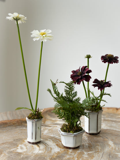 Set of Three Faux Cosmos and Fern Potted Plants