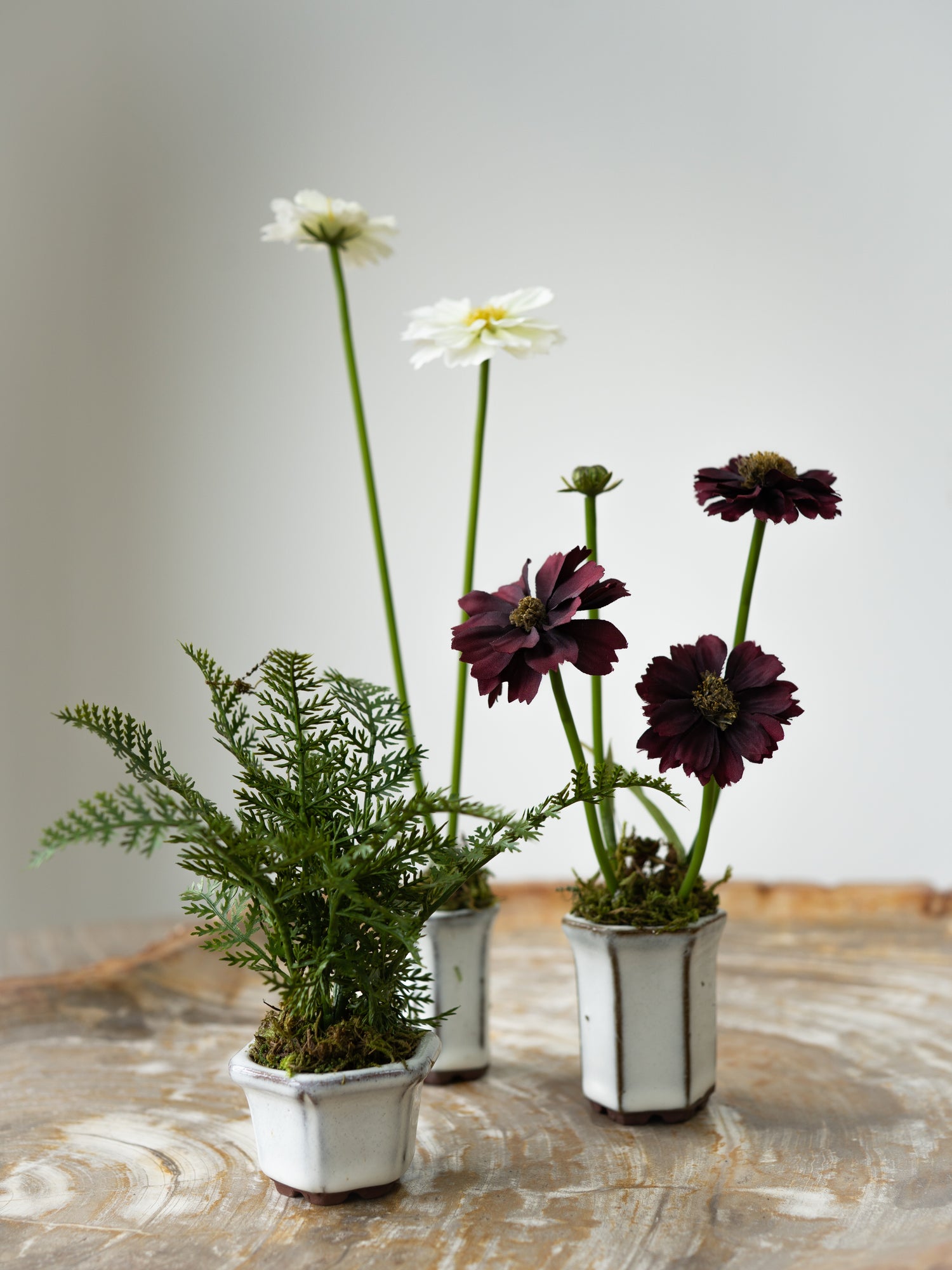 Set of Three Faux Cosmos and Fern Potted Plants 