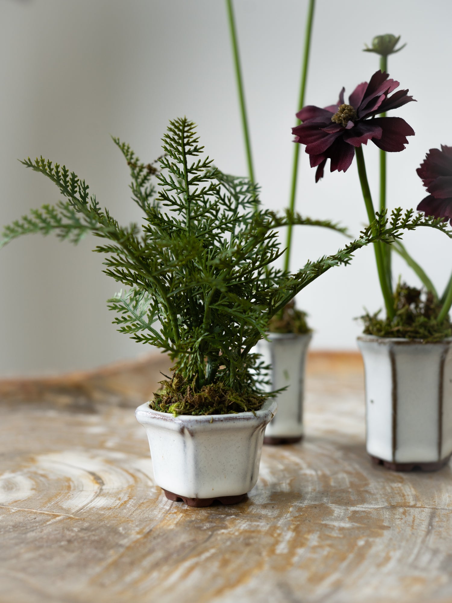 Set of Three Faux Cosmos and Fern Potted Plants
