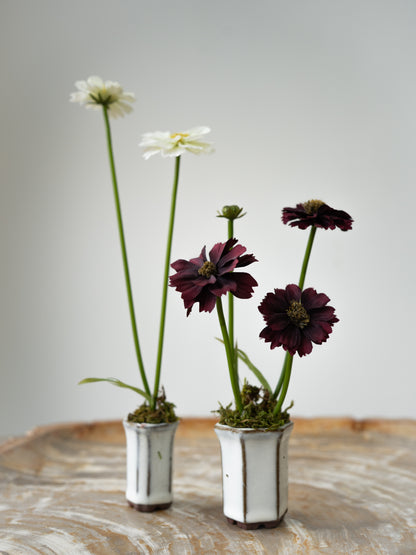 Set of Three Faux Cosmos and Fern Potted Plants