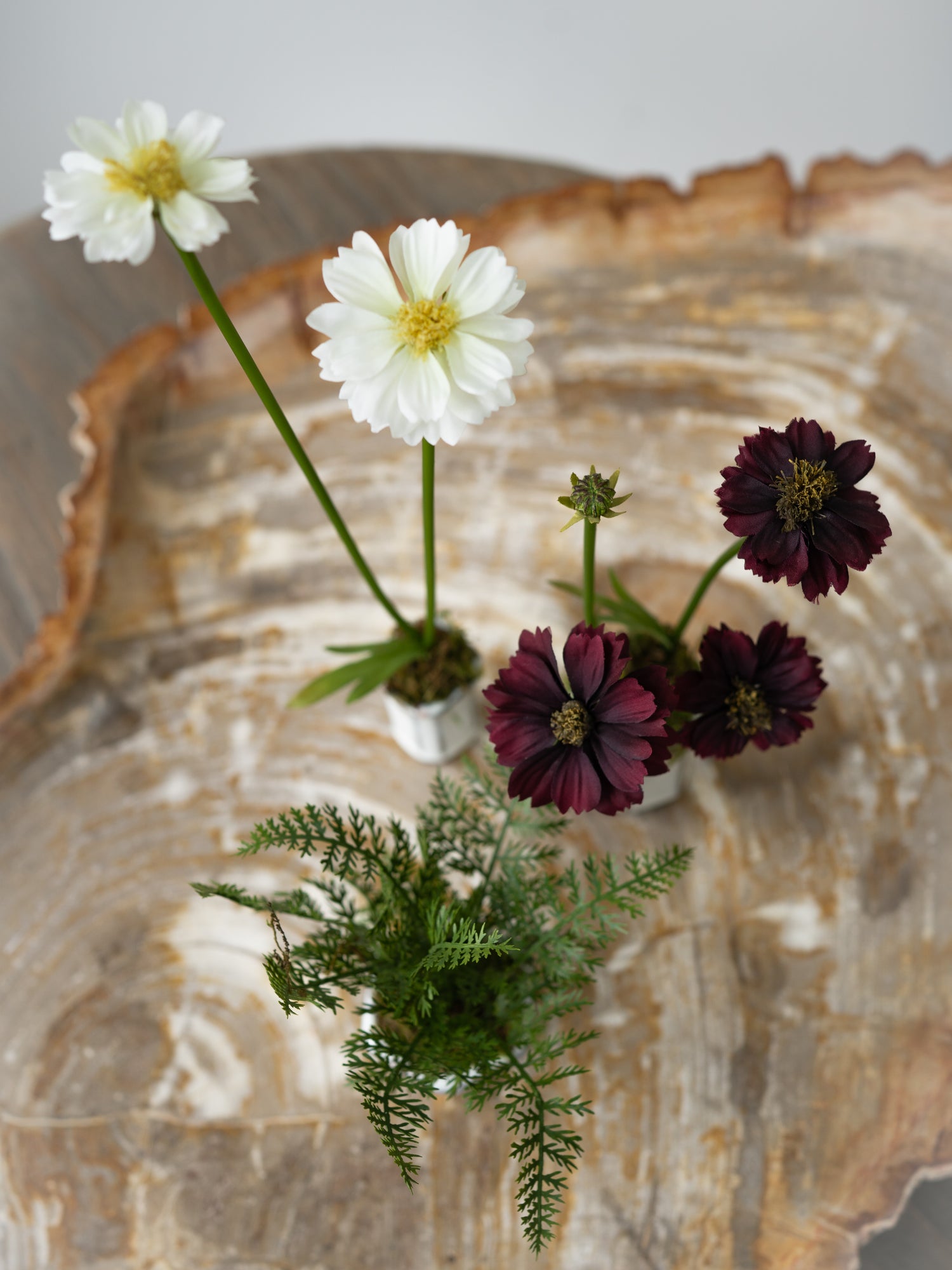 Set of Three Faux Cosmos and Fern Potted Plants