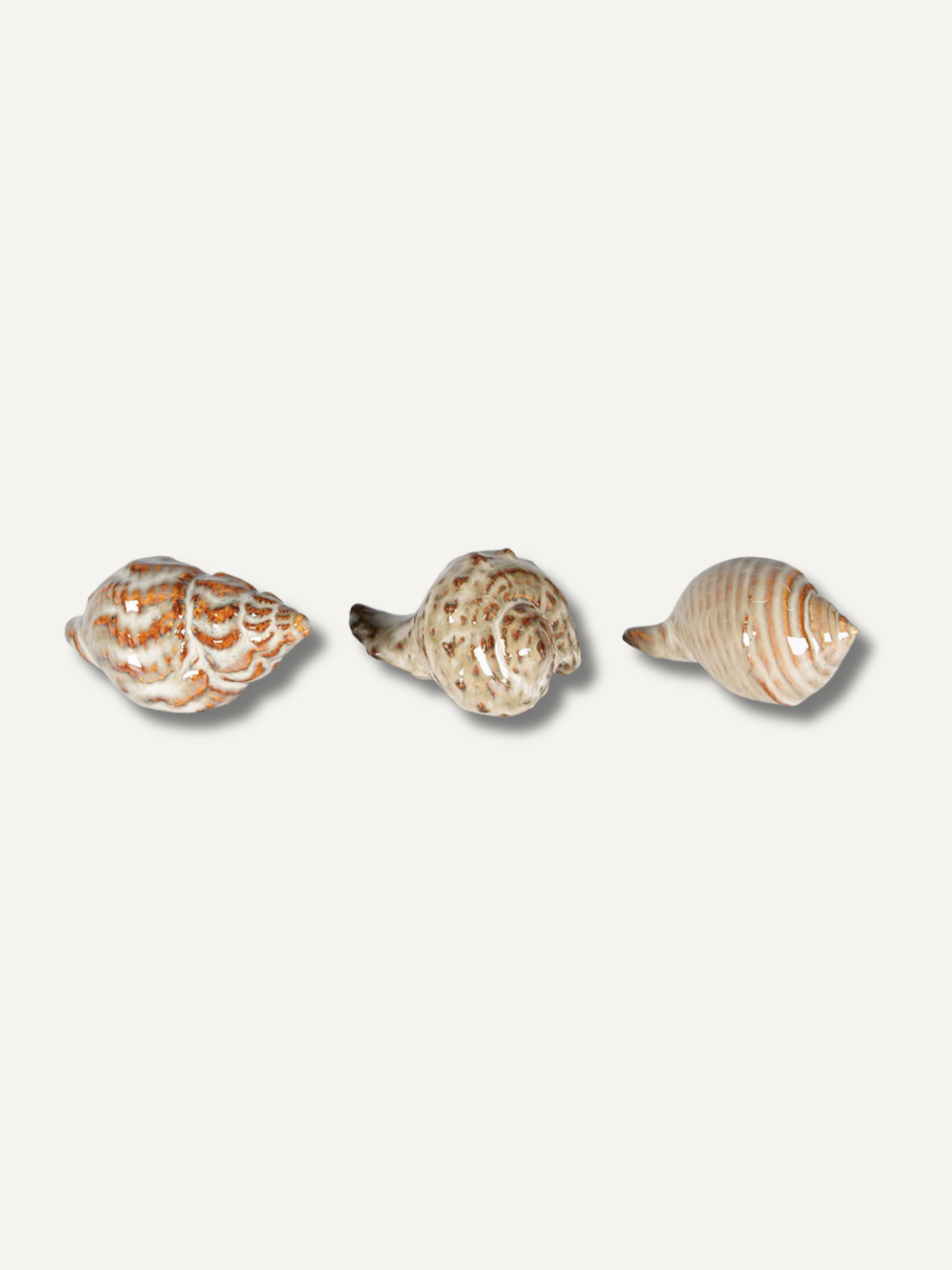Three seashells of different sizes on a white background, for home styling