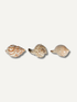 Three seashells of different sizes on a white background, for home styling