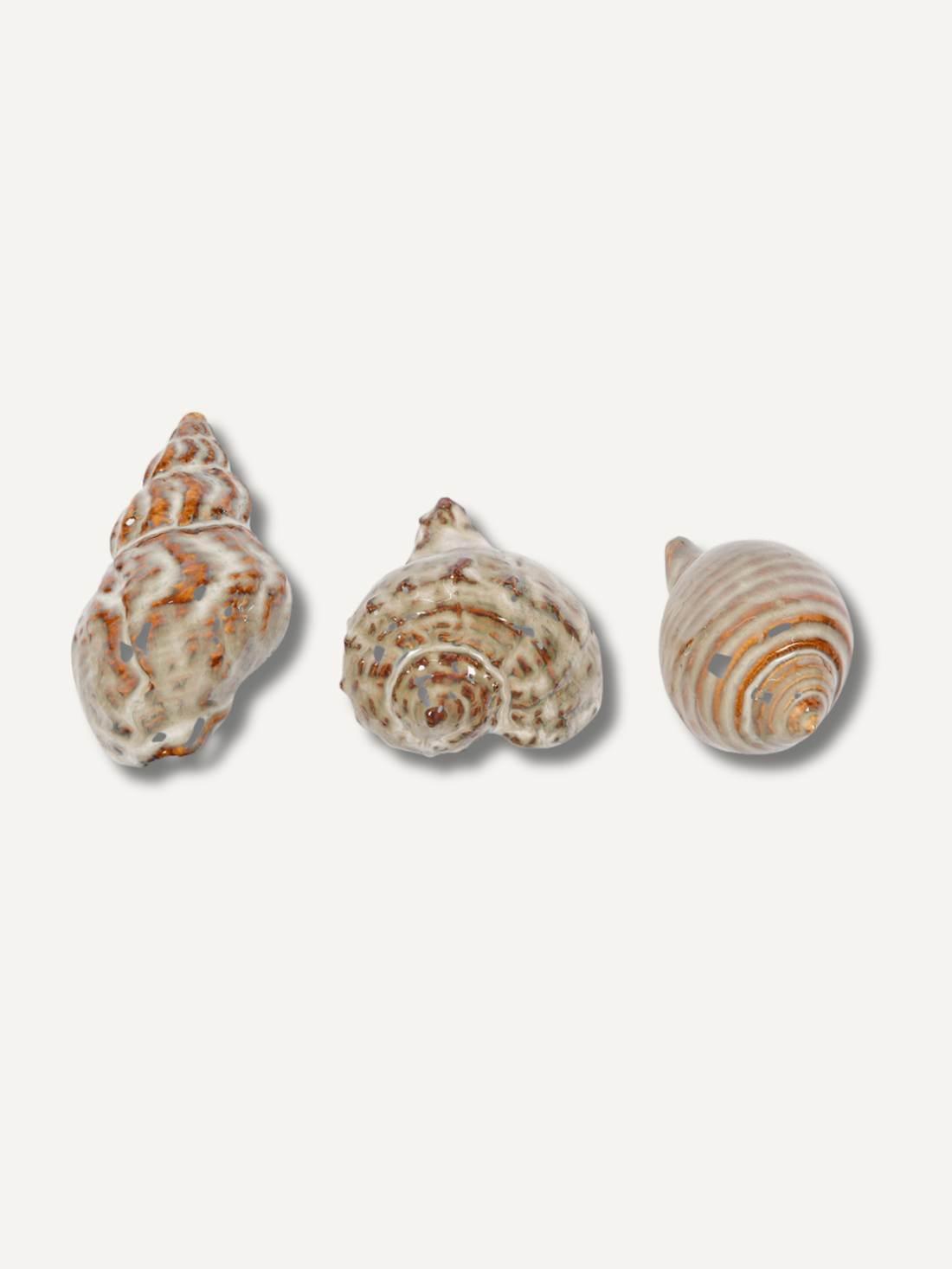 Set of Three Seashells