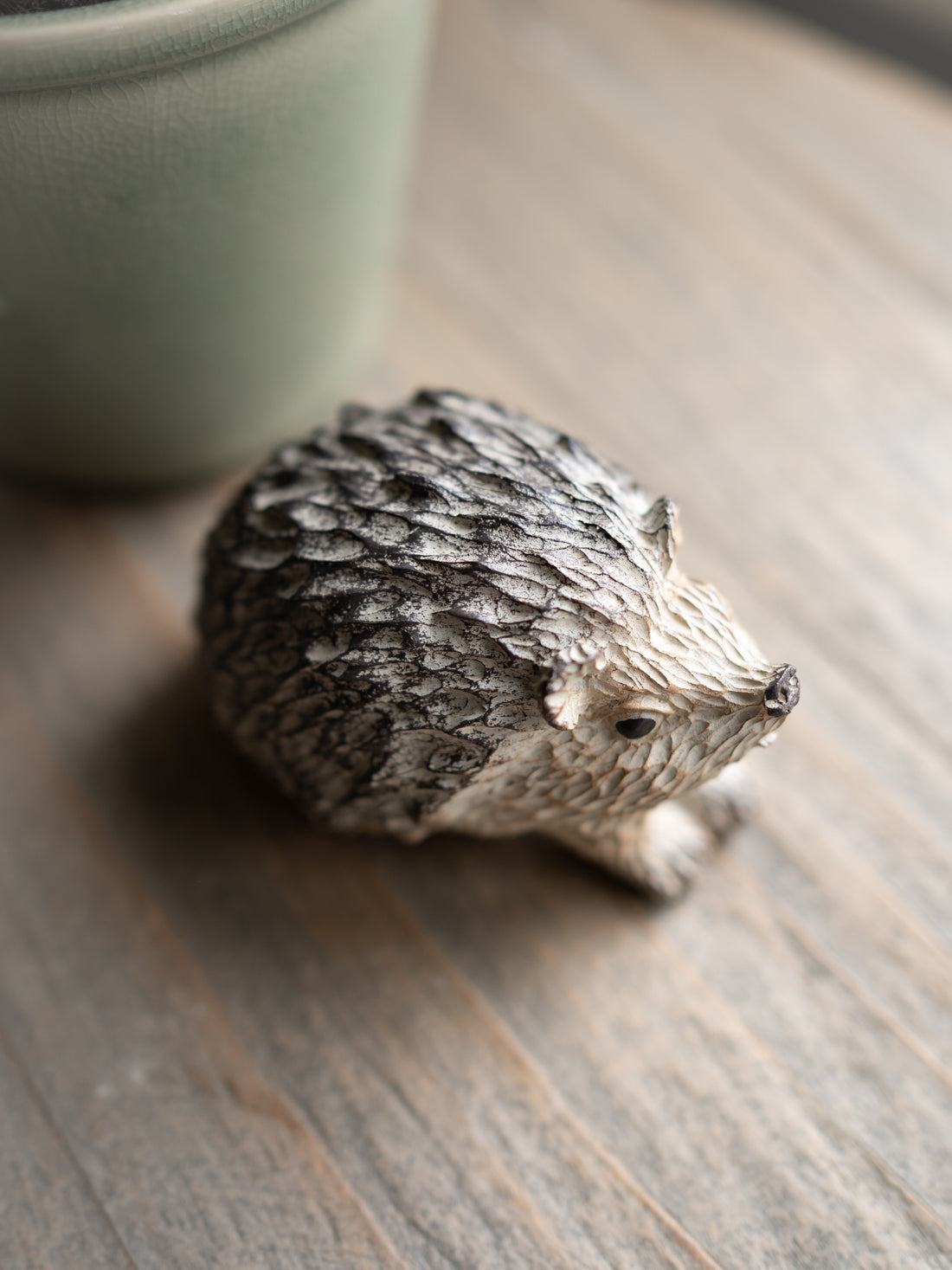Small hedgehog on a wooden surface with a blurred background