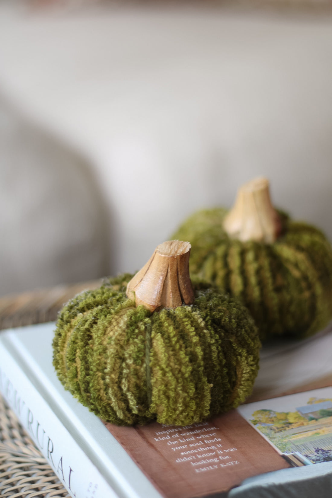 Small Olive Green Pumpkin with Wooden Stalk