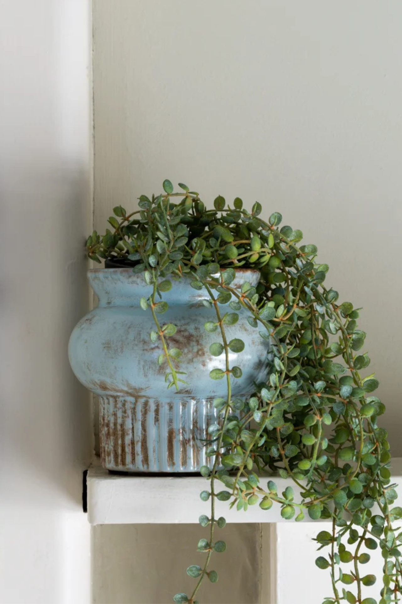 distressed vase with indoor plant Soft Blue Distressed Vase