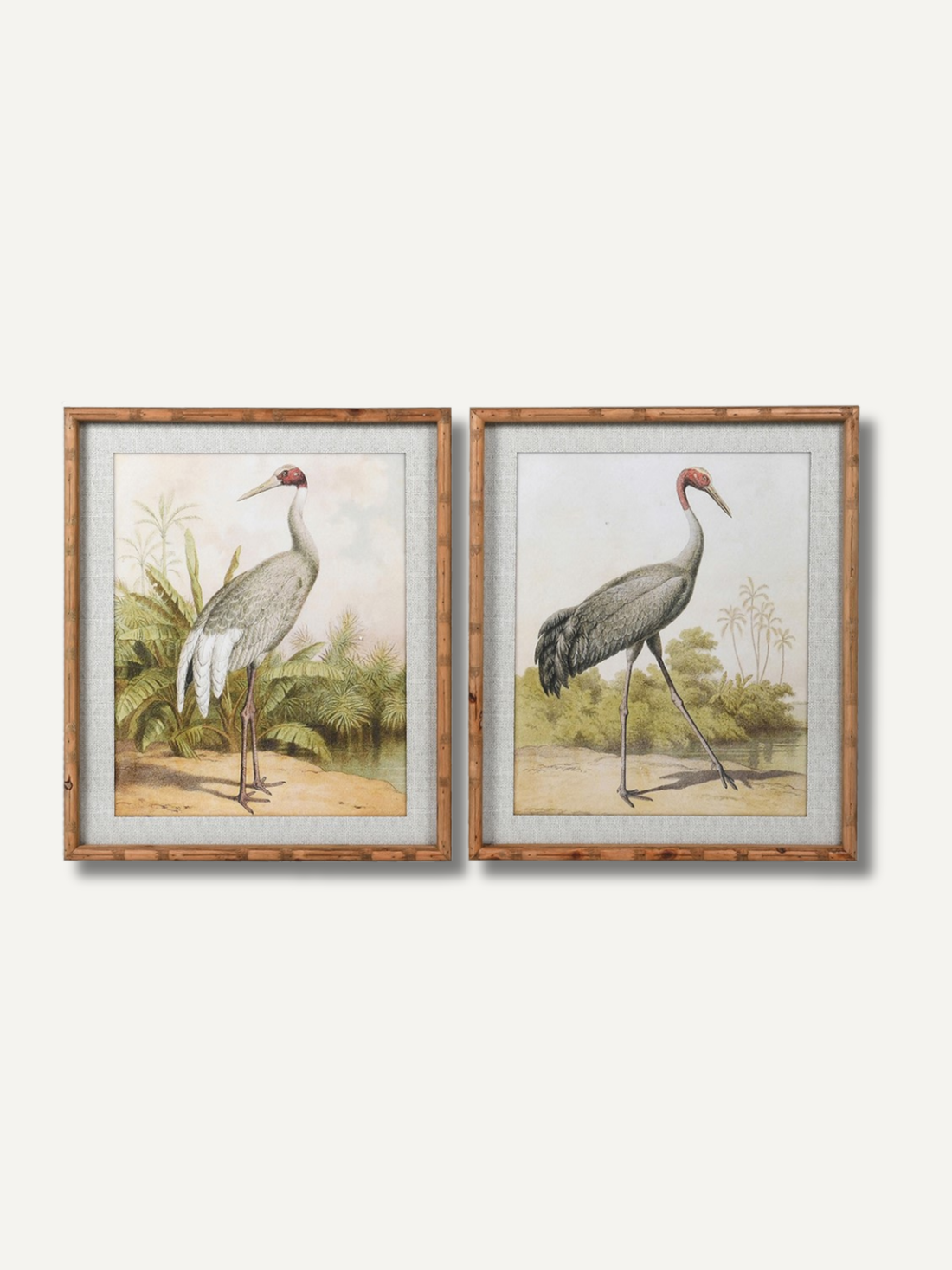 Two framed illustrations of storks on a white background in bamboo style fir wood frames for relaxed home styling