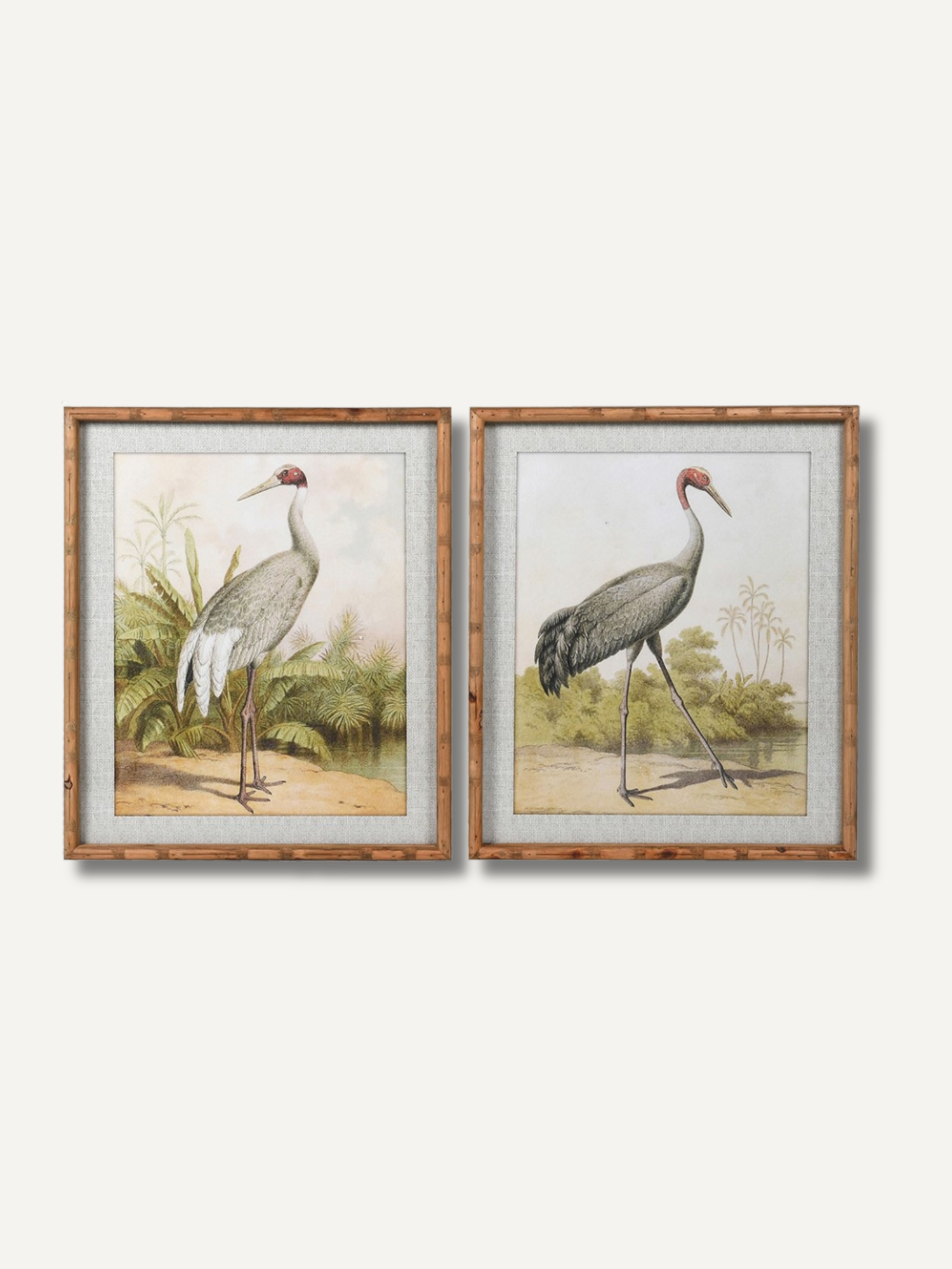 Two framed illustrations of storks on a white background in bamboo style fir wood frames for relaxed home styling