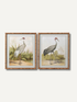 Two framed illustrations of storks on a white background in bamboo style fir wood frames for relaxed home styling