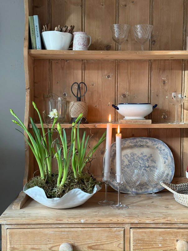 White wave ceramic bowl planted with daffodils and catkin stems, beautiful home accessories for styling