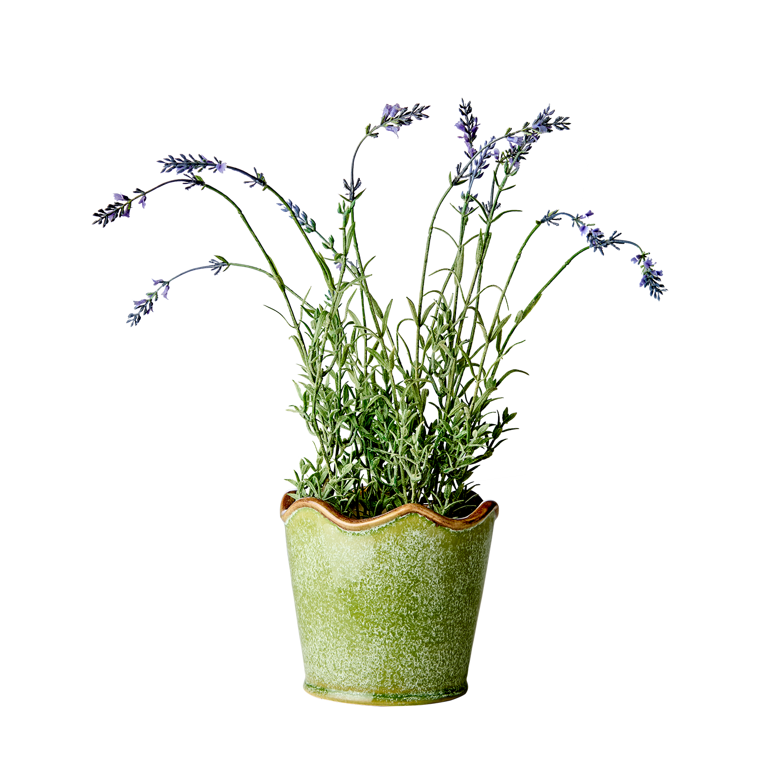 Tarren Green Frilly Edge Stoneware Planter