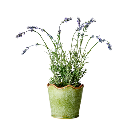 Tarren Green Frilly Edge Stoneware Planter