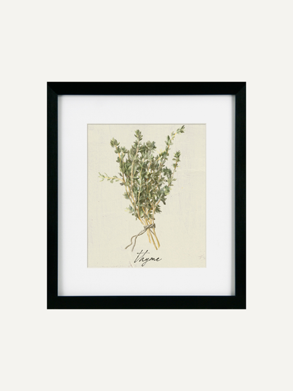 Thyme Cottage Herbs Framed Wall Art