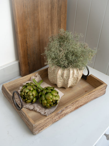 Wooden tray with artichokes and a small plant pot with spanish moss on a white surface.