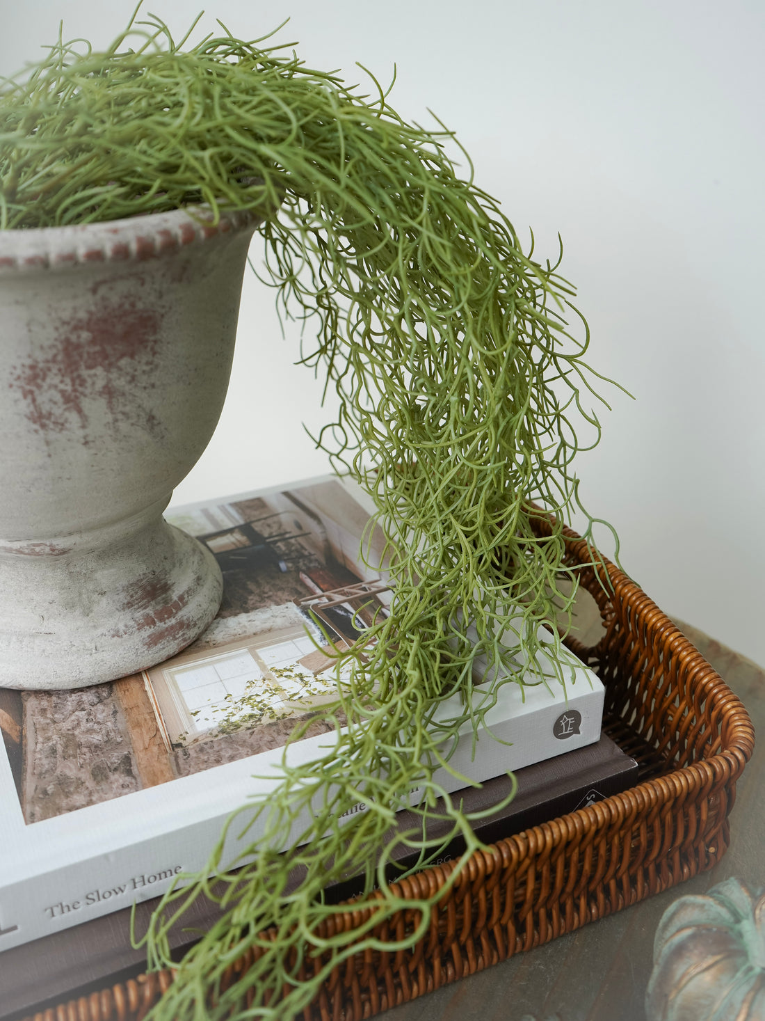 Potted plant with long, trailing leaves on a surface with books and a woven basket.