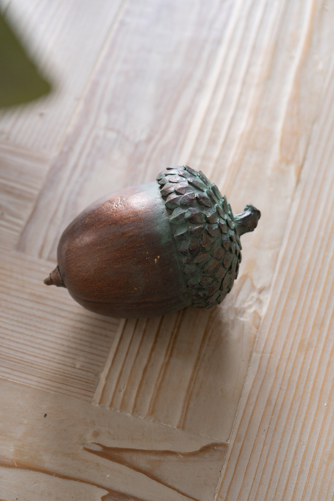 Acorn on a wooden surface