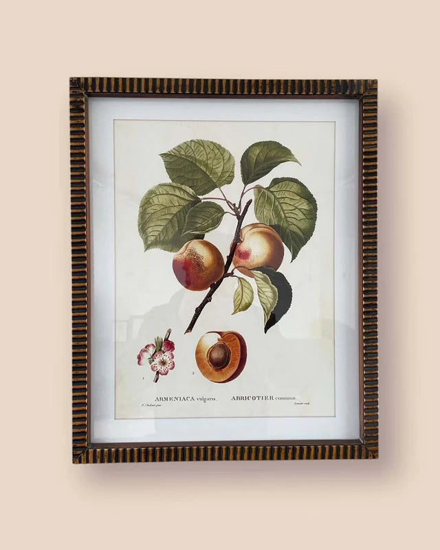 Vintage Apricot Framed Wall Art