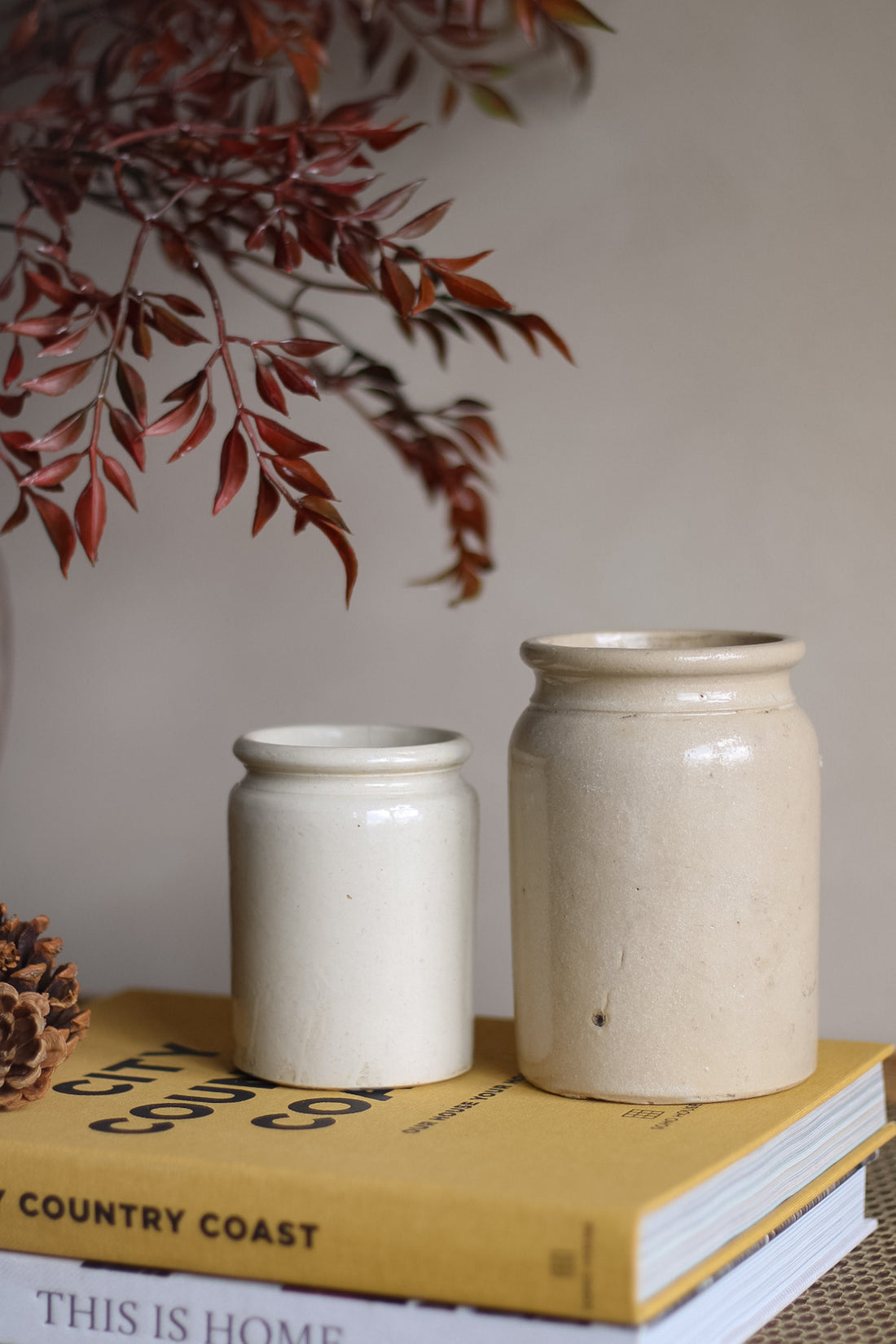 Two ceramic jars on a book with a blurred plant in the background