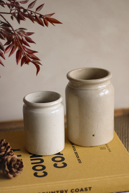 Two ceramic jars on a book with a plant in the background