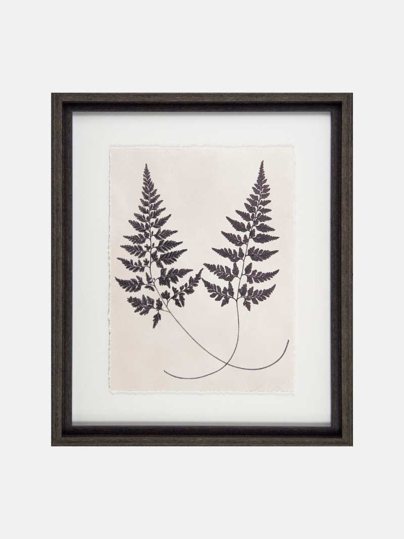 Framed botanical print of two ferns on a beige background