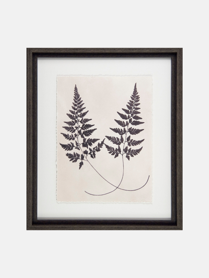 Framed botanical print of two ferns on a beige background