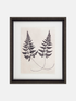Framed botanical print of two ferns on a beige background