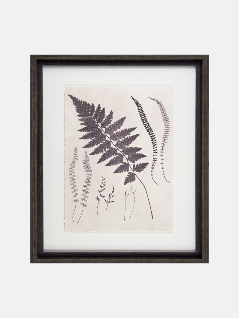 Framed botanical print with purple ferns on a white background