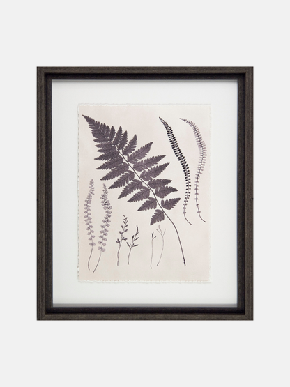 Framed botanical print with purple ferns on a white background