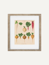 A framed botanical print featuring vintage illustrations of various turnips and radishes, set in a light natural wood frame with a white mat against a neutral off-white background.