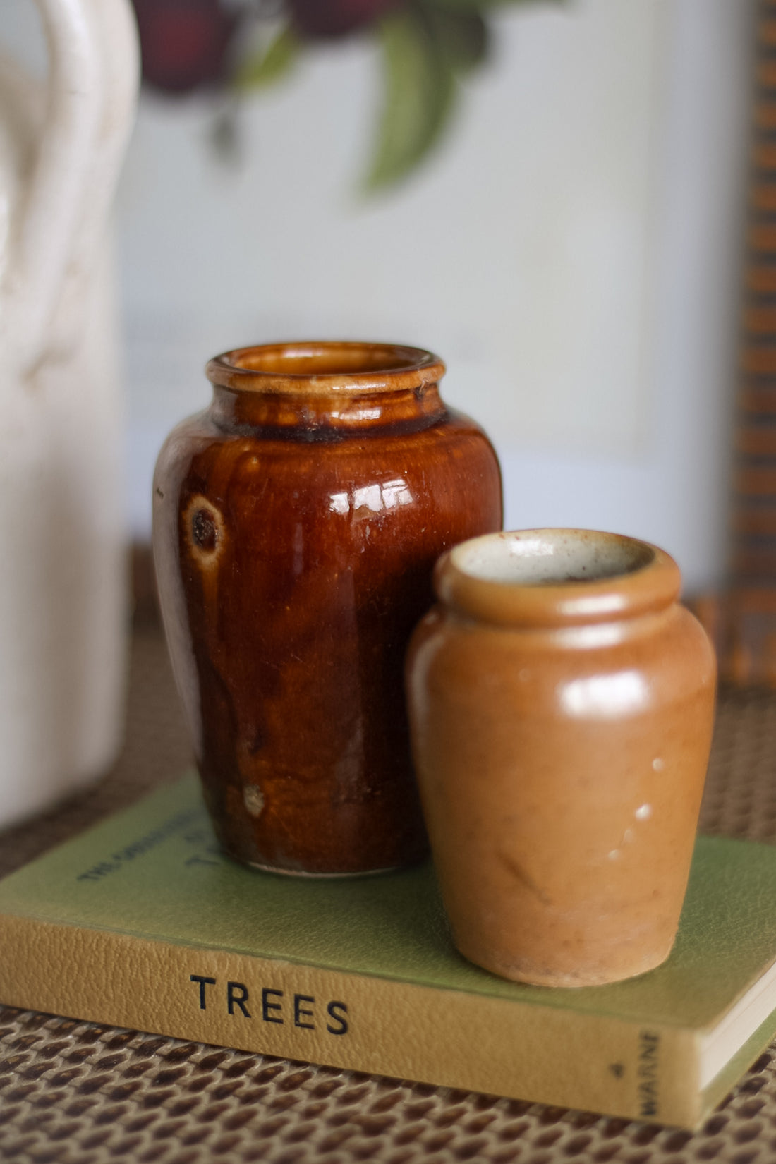 Two brown ceramic jars on a book titled &