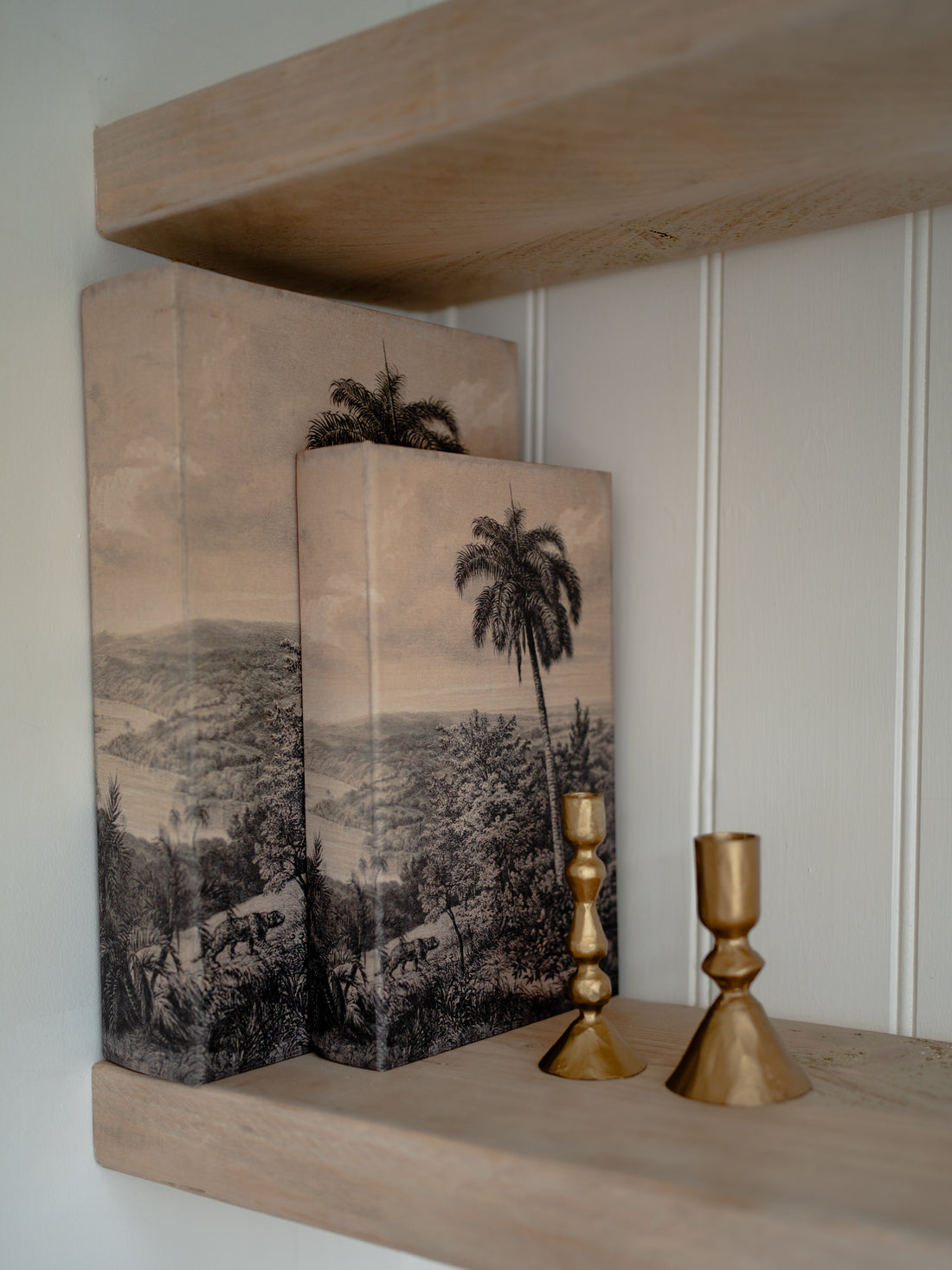 Decorative boxes with landscape and palm tree design on a wooden shelf.