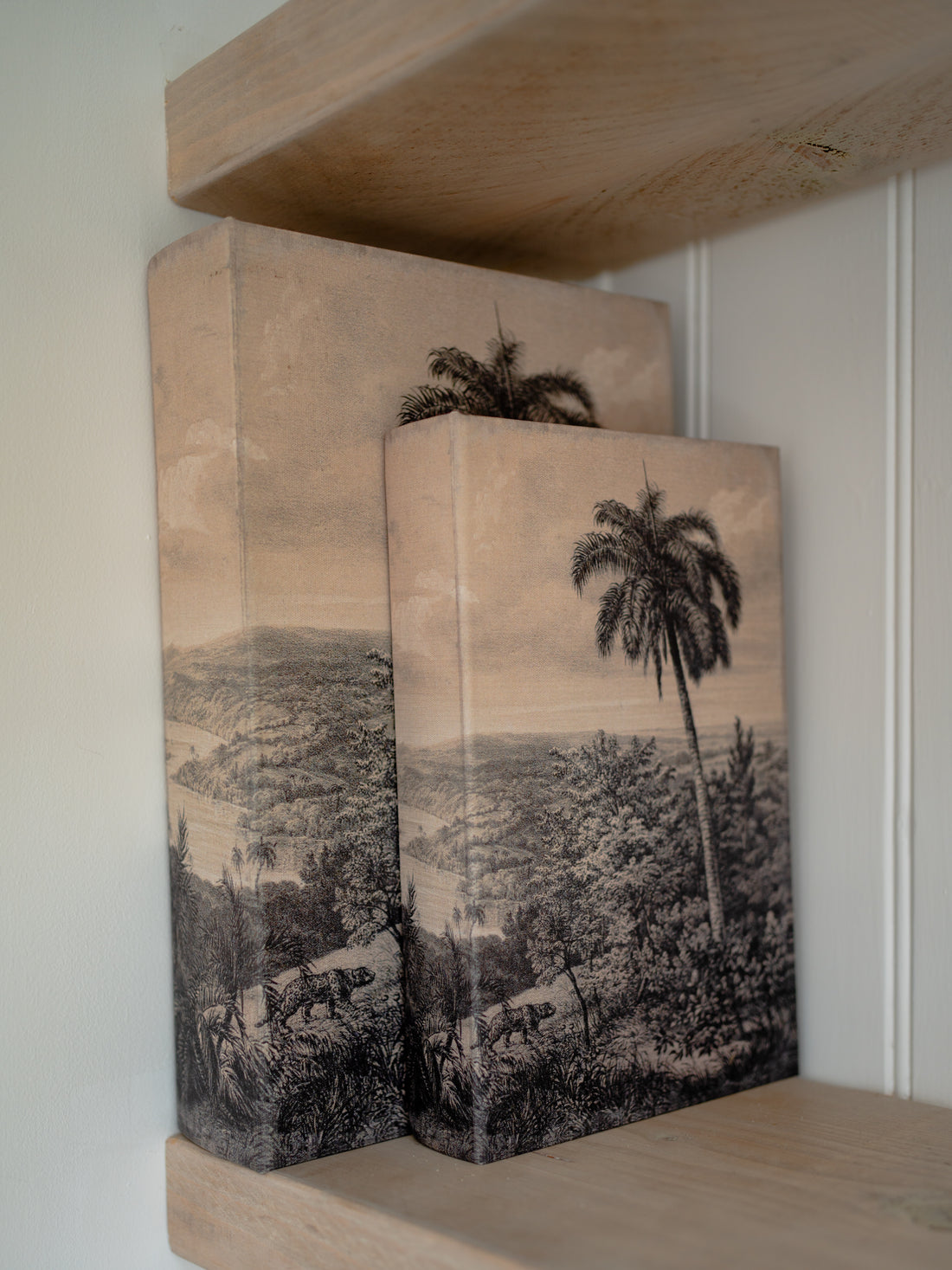 Decorative storage book boxes with nature-themed designs on a shelf