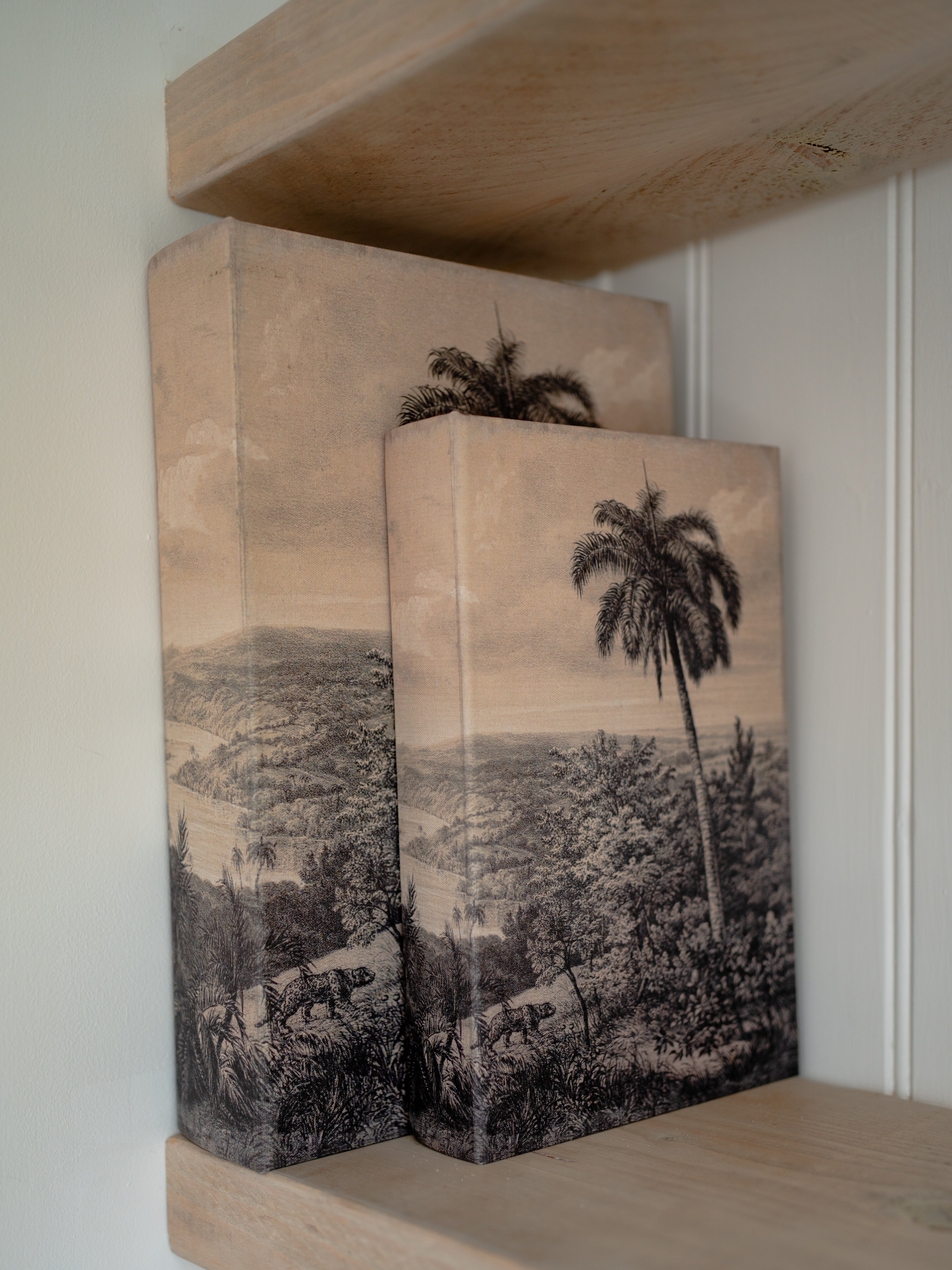 Decorative storage book boxes with nature-themed designs on a shelf