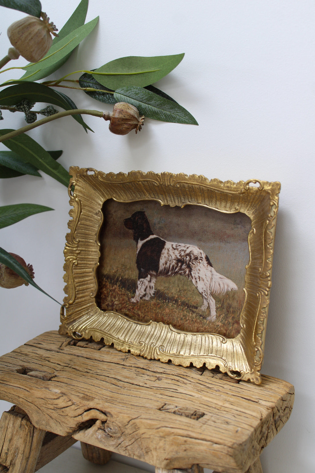 Decorative gold-framed picture of a dog on a wooden surface with greenery in the background