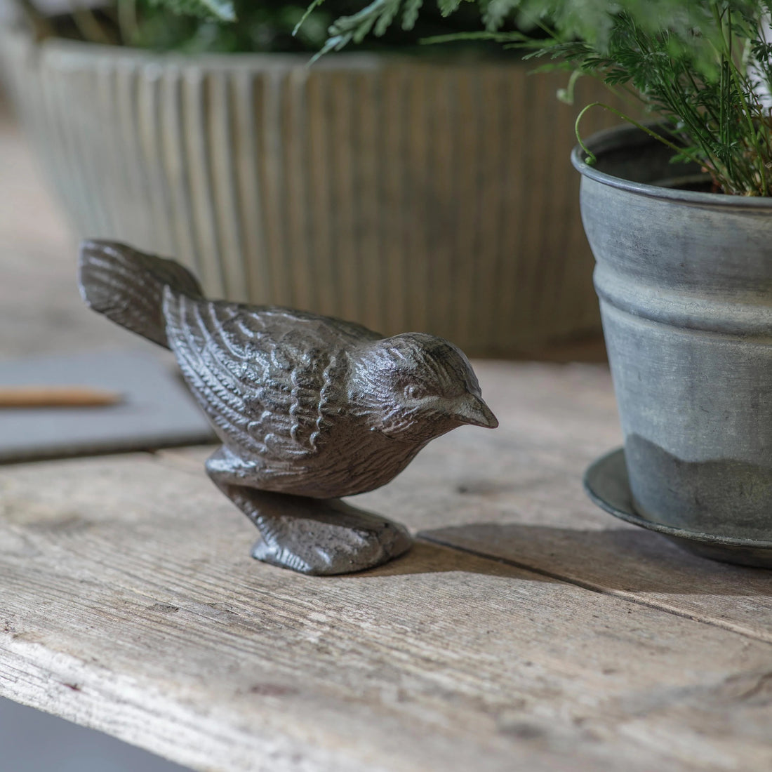Weathered Standing Bird