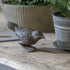 Weathered Standing Bird