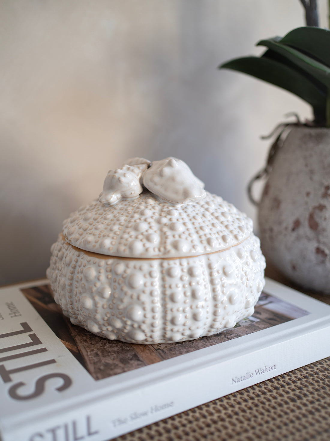 White ceramic sea urchin-shaped container on a book with a blurred background