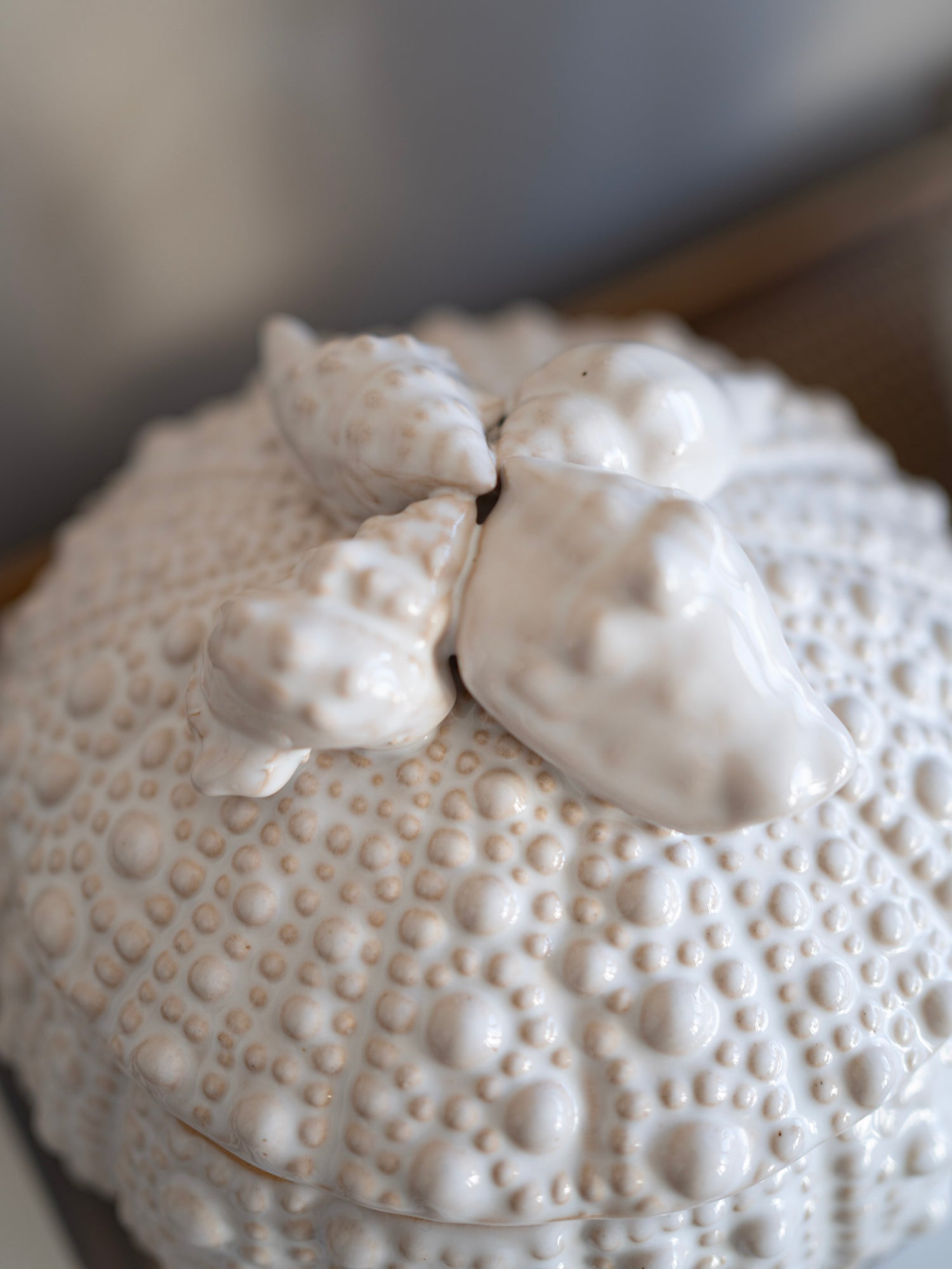 Decorative white ceramic sea urchin jar with textured surface and animal figures on a blurred background