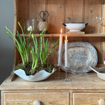 Ceramic white wave bowl planter filled with flowers