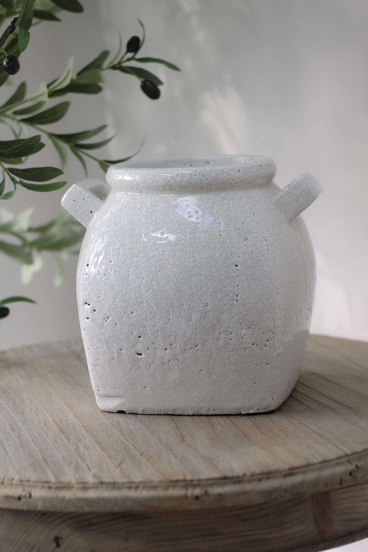 Whitlow Rustic Crackle Glazed White Pot with Handles