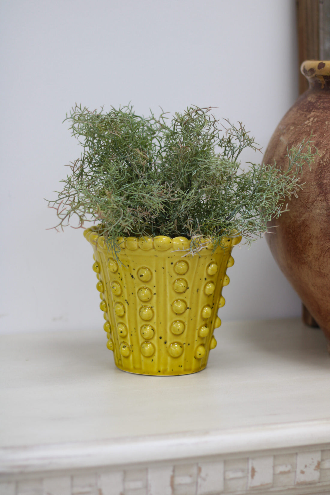 Yellow textured pot with green plant on a white surface