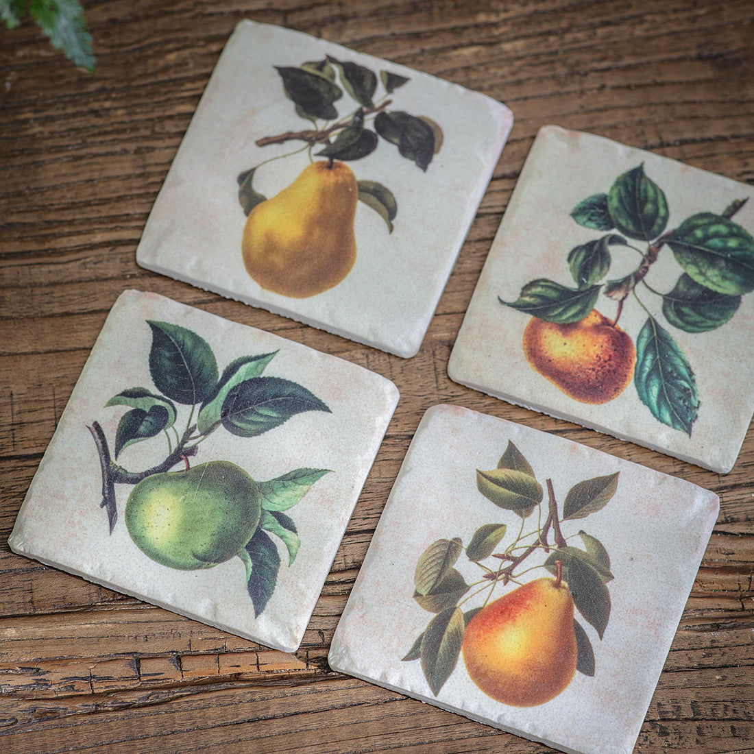 Four coasters with pear illustrations on a wooden surface