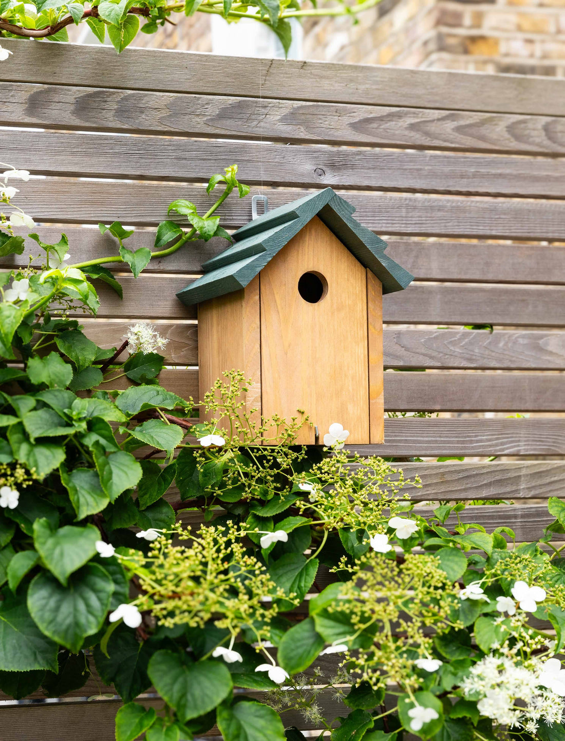 Olive Green Wooden Bird House