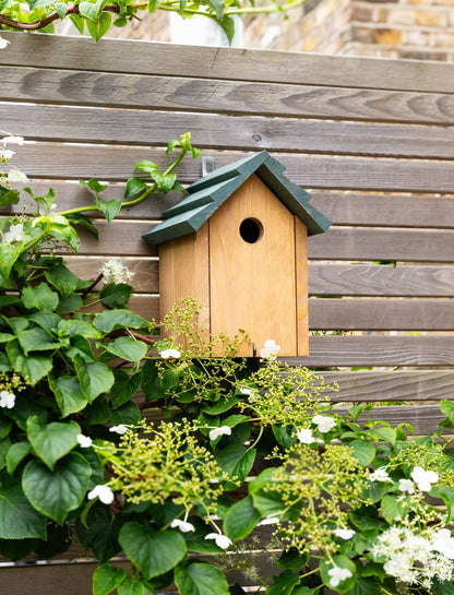 Olive Green Wooden Bird House
